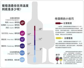 葡萄酒的温度控制方法